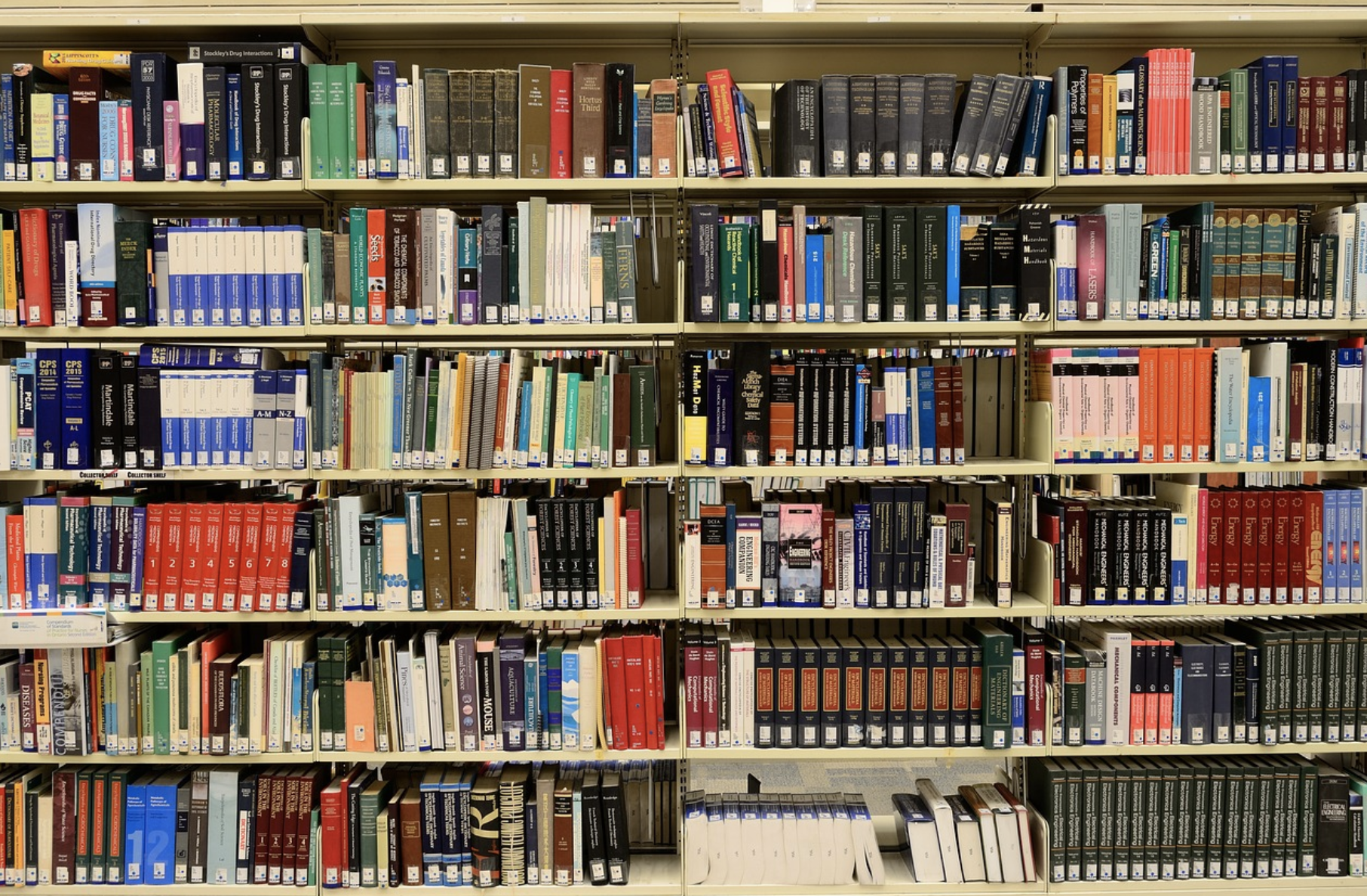 The Best Free Resources to Study for AP tests