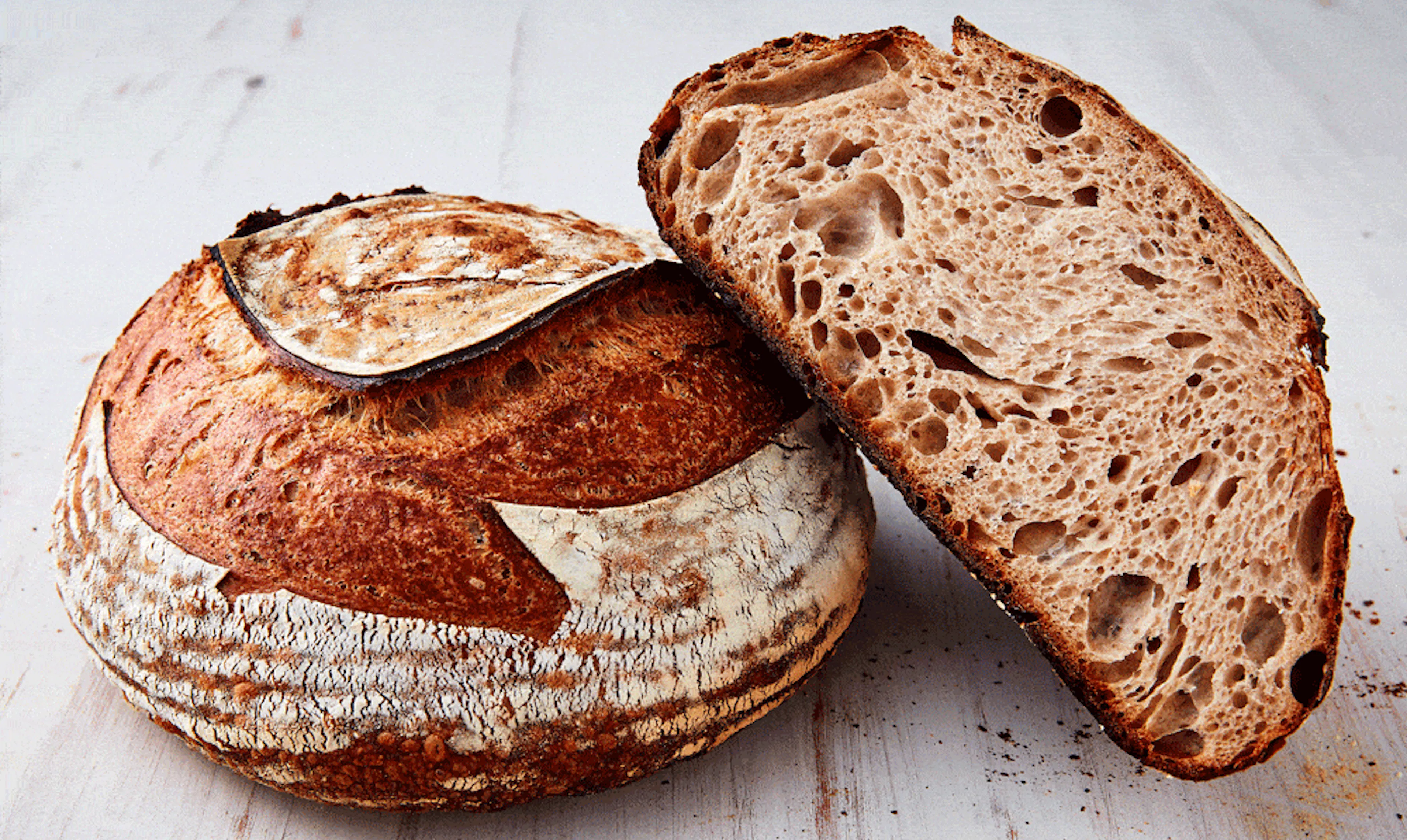 TL;DR Science: Yeast & Fermentation