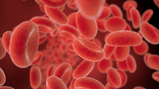 TL;DR Science: Blood Types