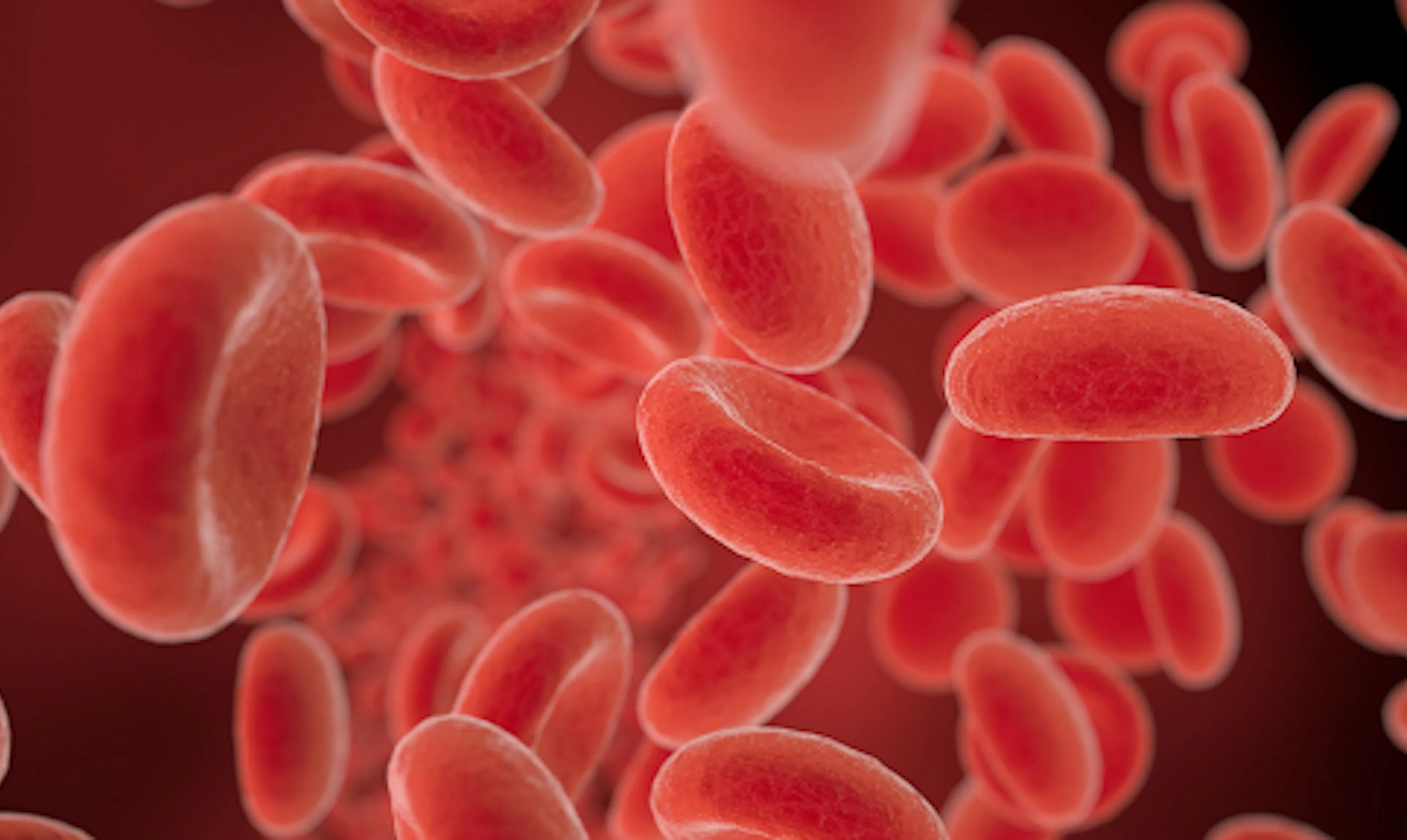 TL;DR Science: Blood Types