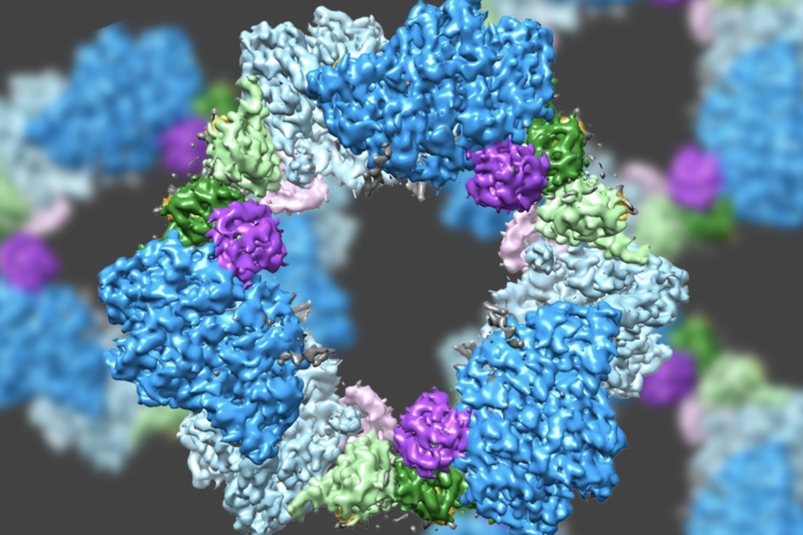 TL;DR Science: Enzymes in the Human Body