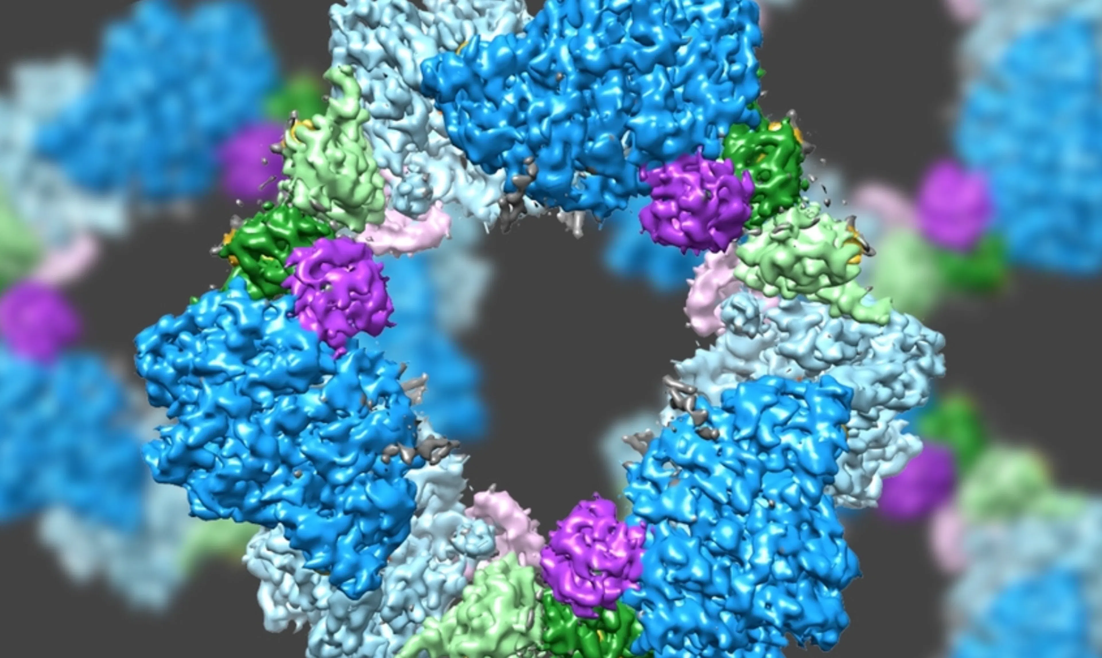 TL;DR Science: Enzymes in the Human Body