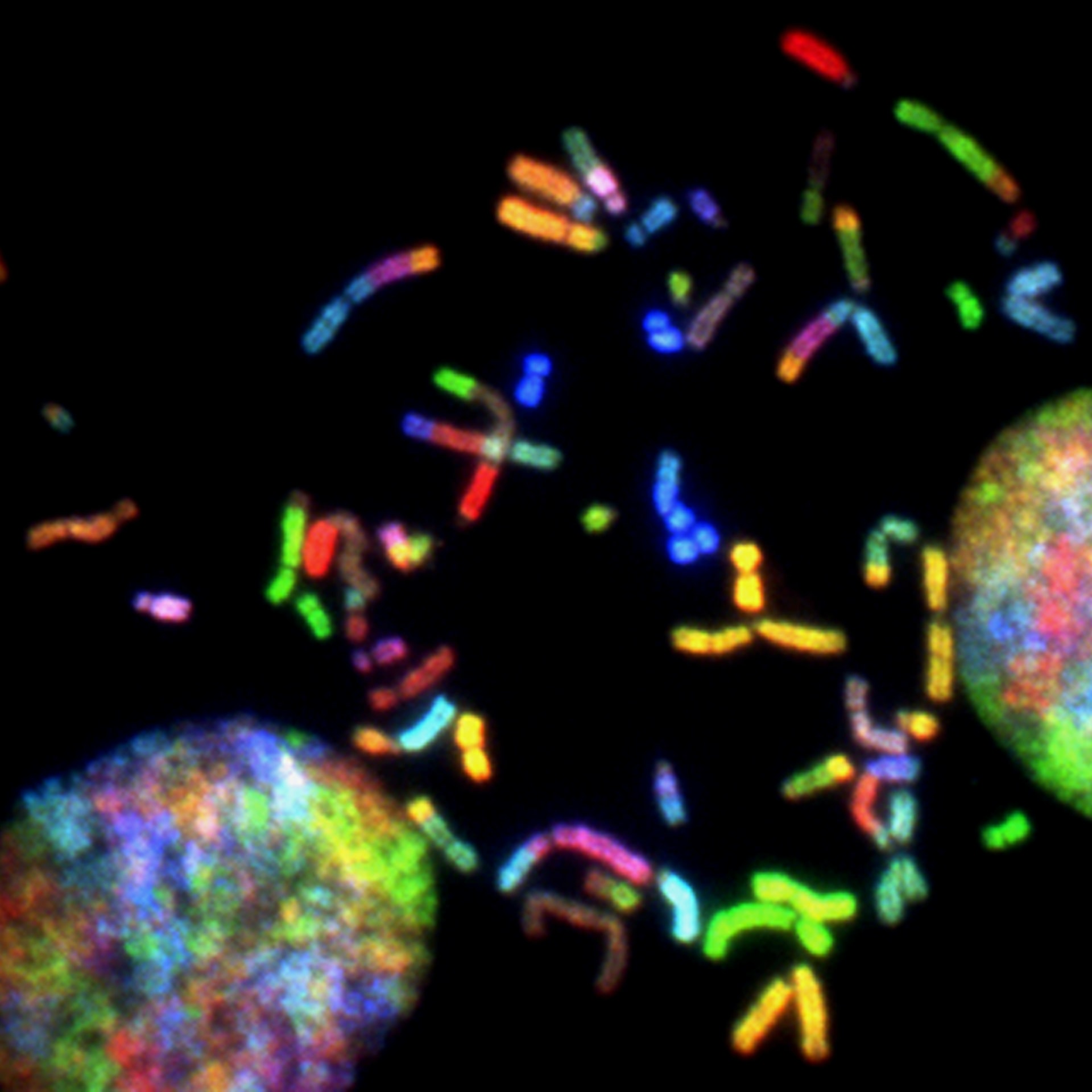 Zero to Hero: Getting started in the Life Sciences