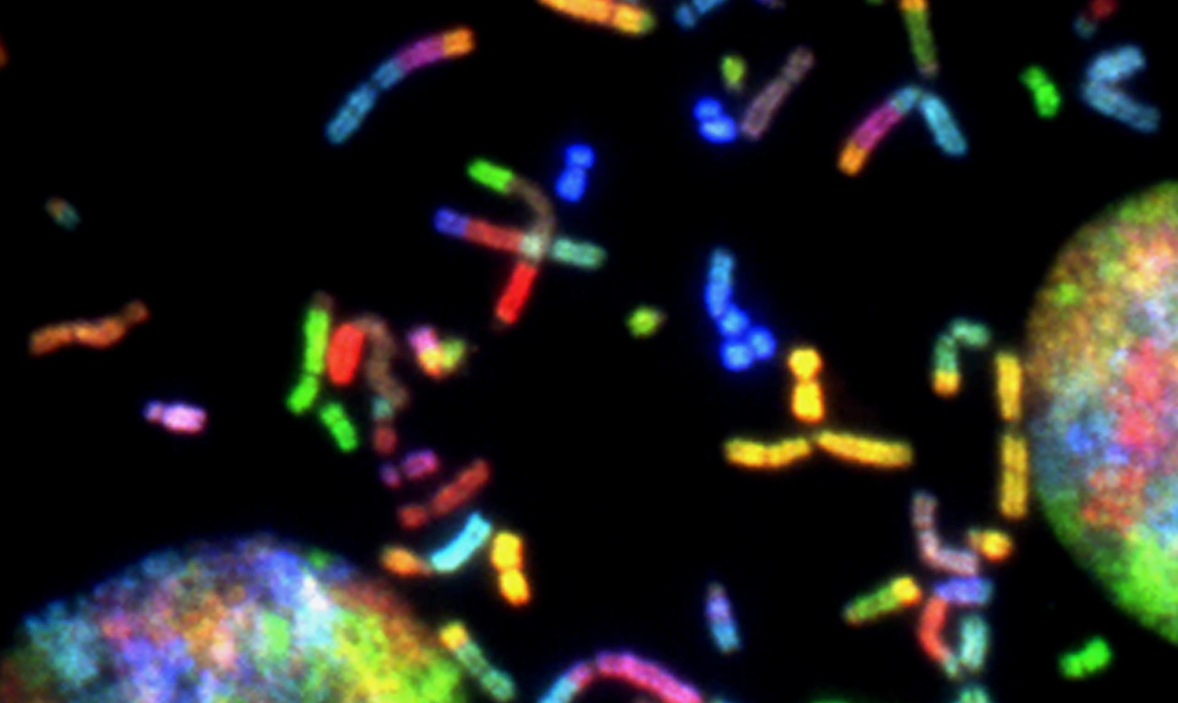 Zero to Hero: Getting started in the Life Sciences