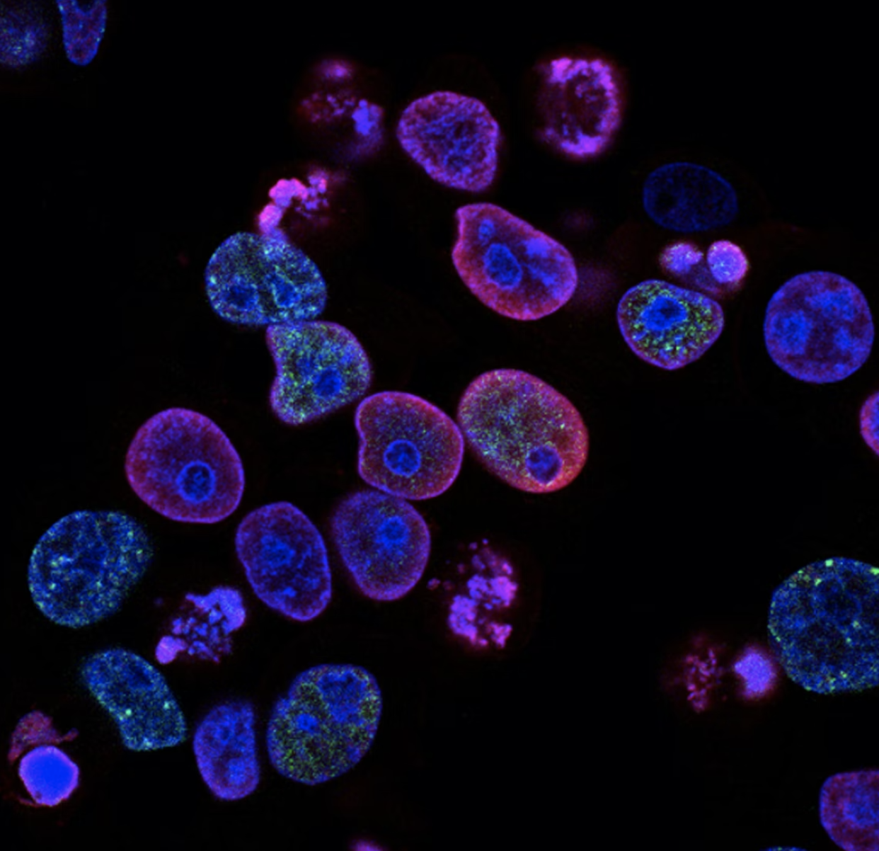 TL;DR Science: Oncogenes