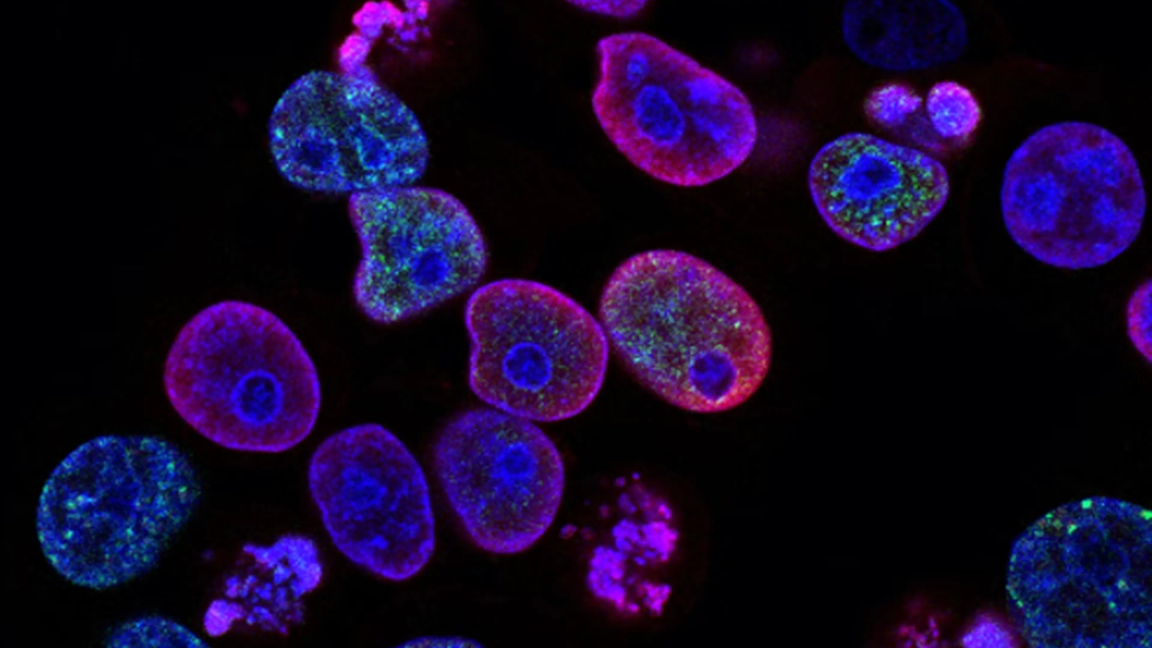 TL;DR Science: Oncogenes