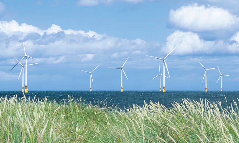 Offshore wind farm