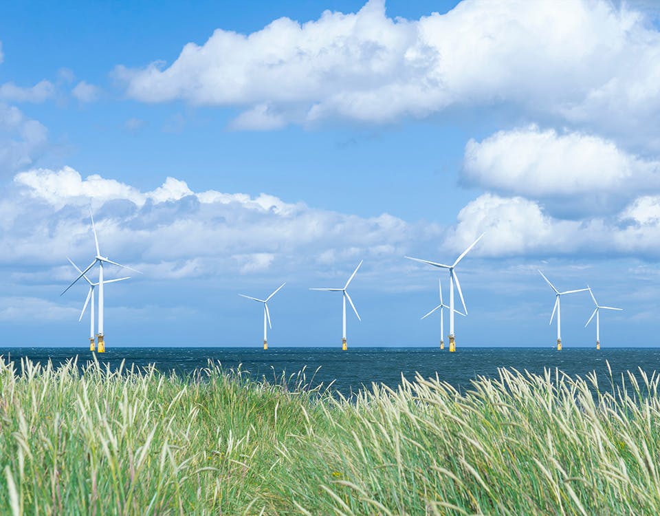 Offshore wind farm