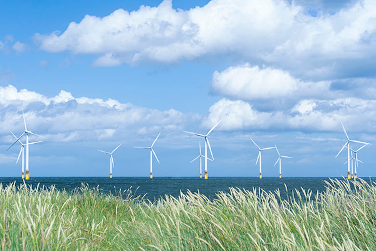 Wind turbines off the coast