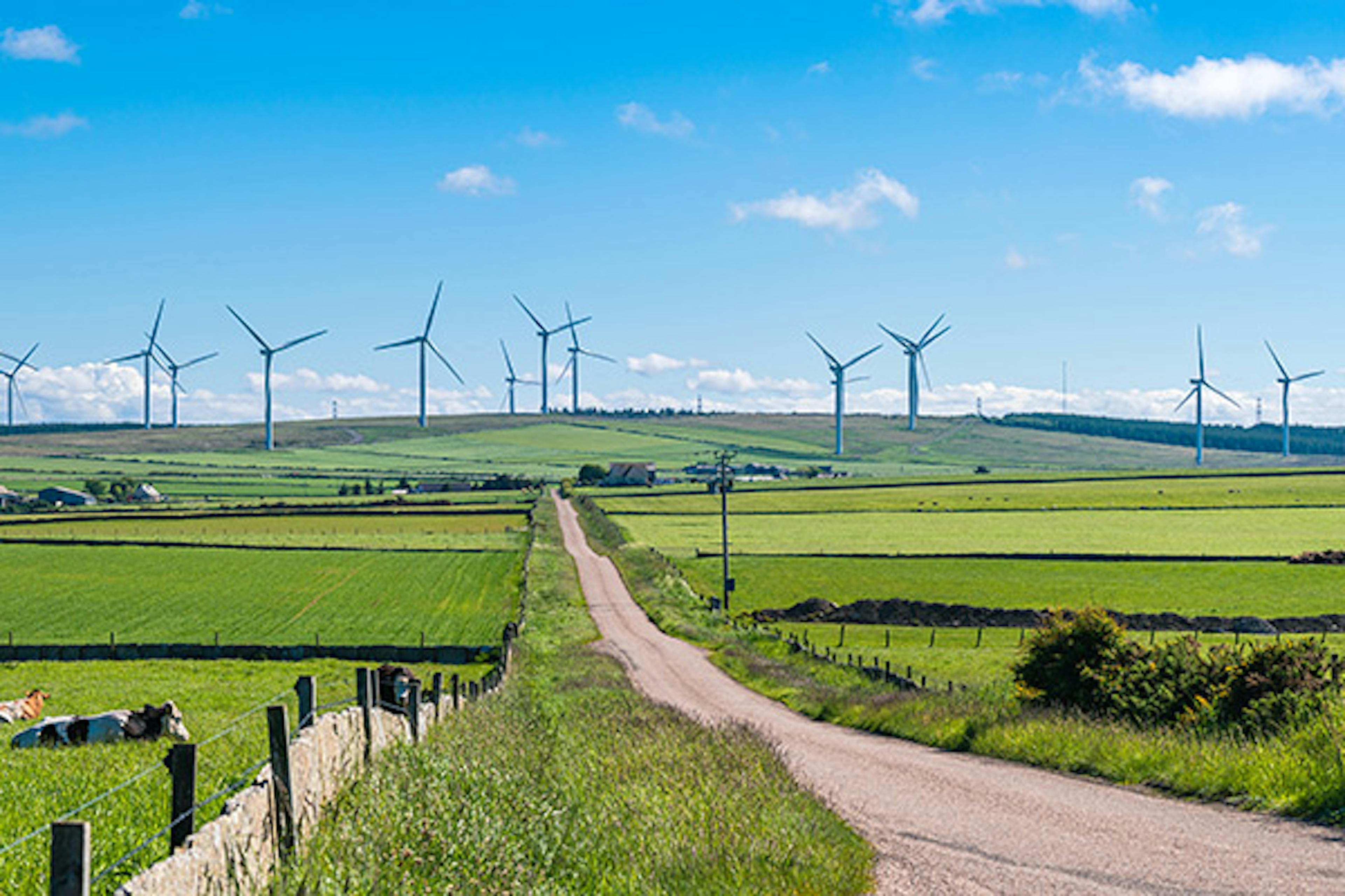 Sunny day in Scottish countryside with a wind farm on the horizon