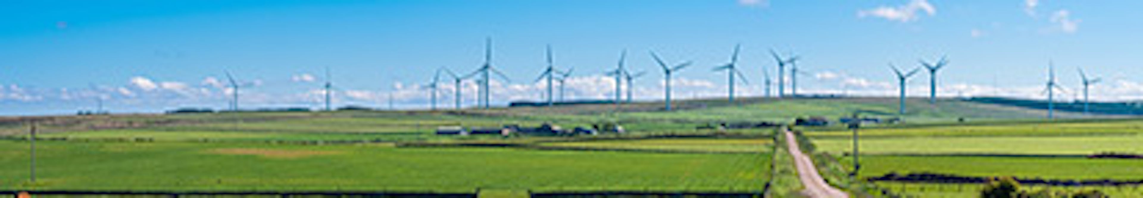 Sunny day in Scottish countryside with a wind farm on the horizon