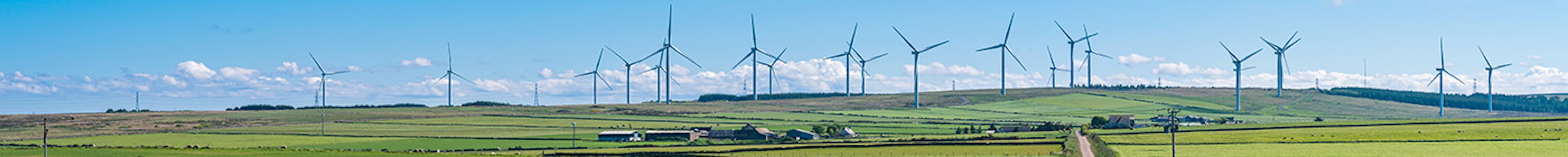 Sunny day in Scottish countryside with a wind farm on the horizon