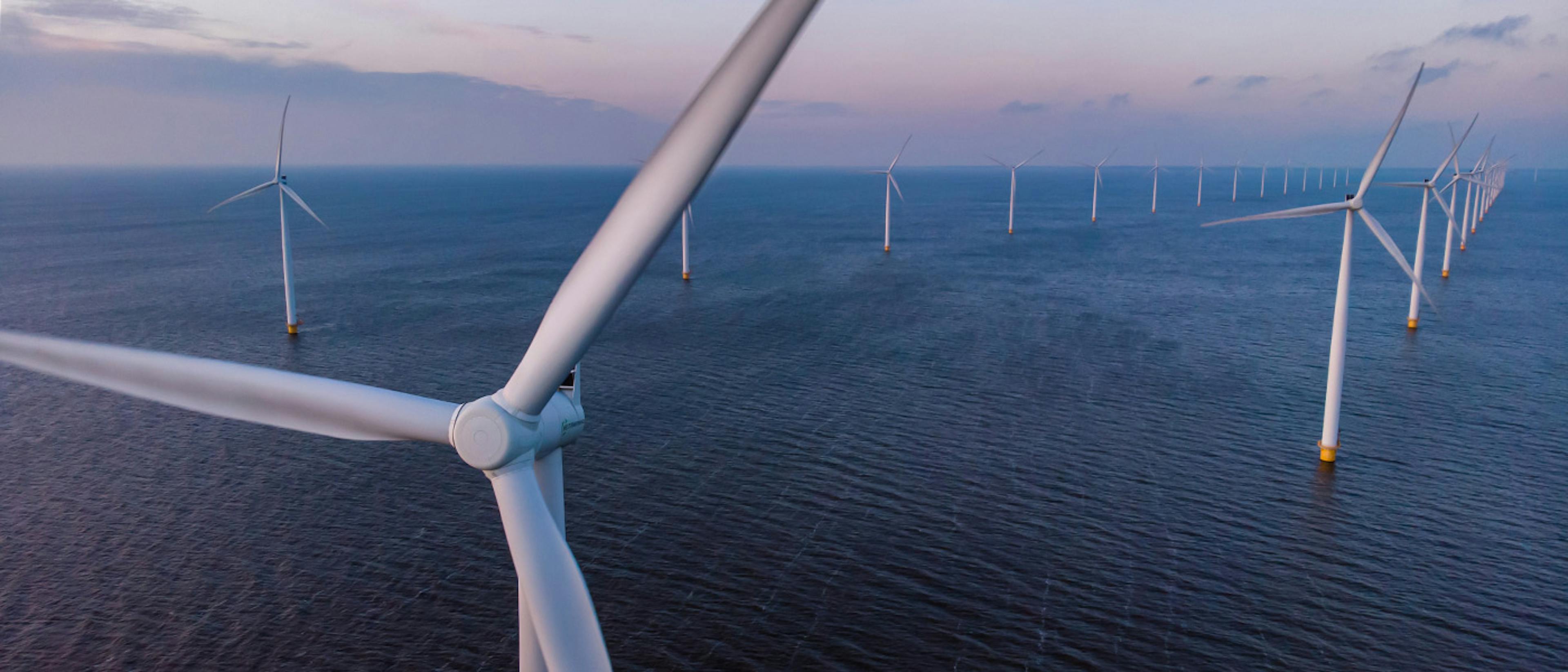 An array of offshore wind turbines