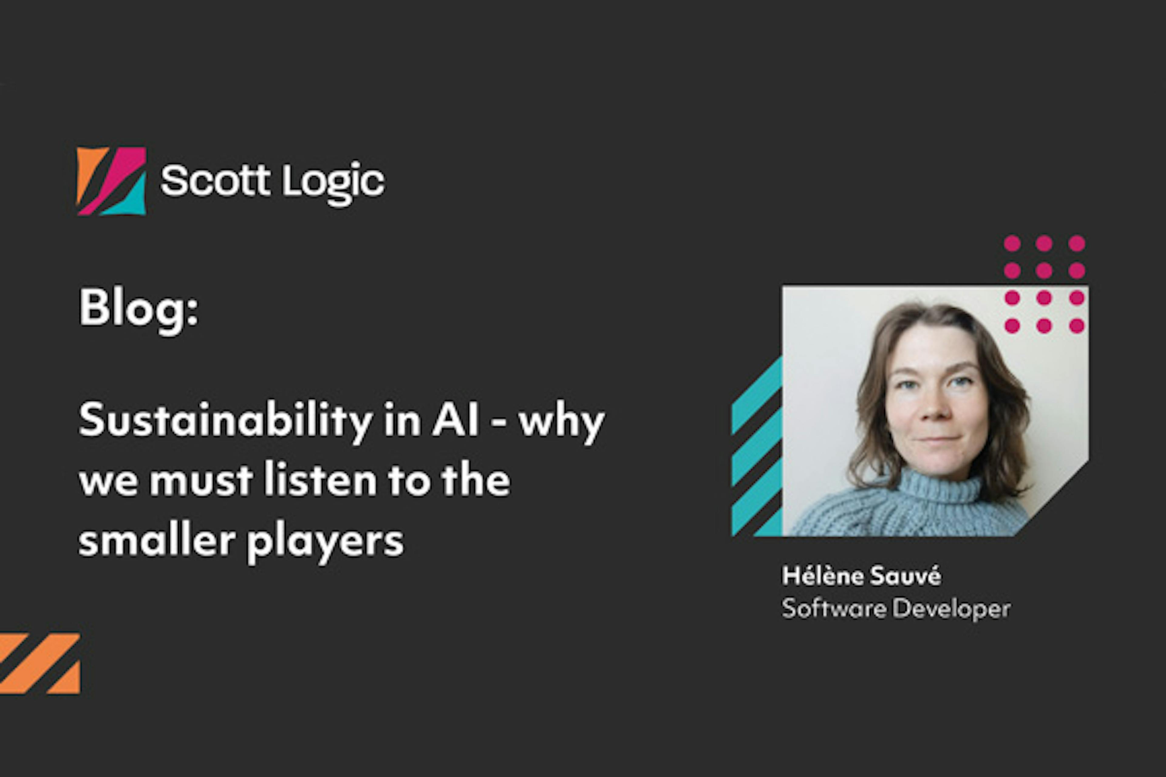 Sustainability in AI - why we must listen to the smaller players