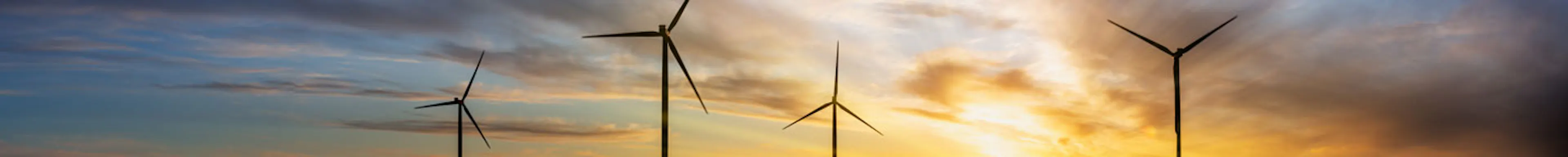 Rape seed field at sunset with blue sky and wind turbine silhouette