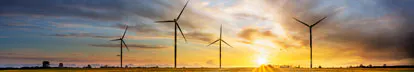 Rape seed field at sunset with blue sky and wind turbine silhouette