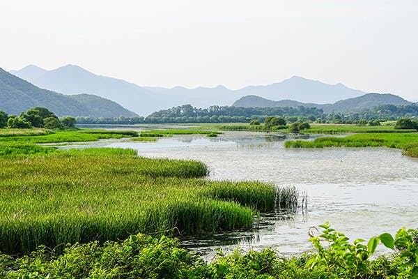 Open landscape image with wetlands in the foreground and mountains in the distance