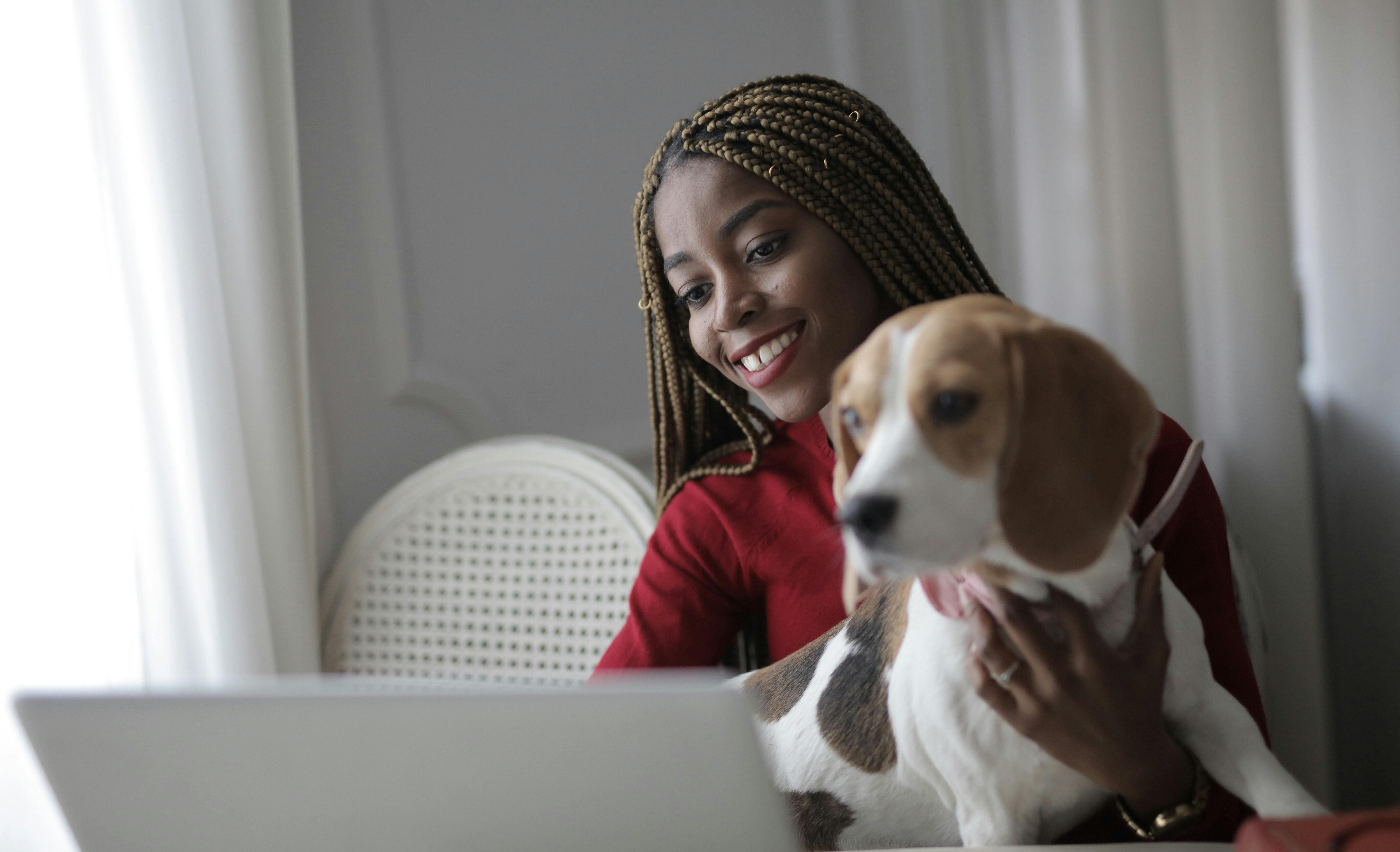 A woman holding a Beagle dog looks at her computer