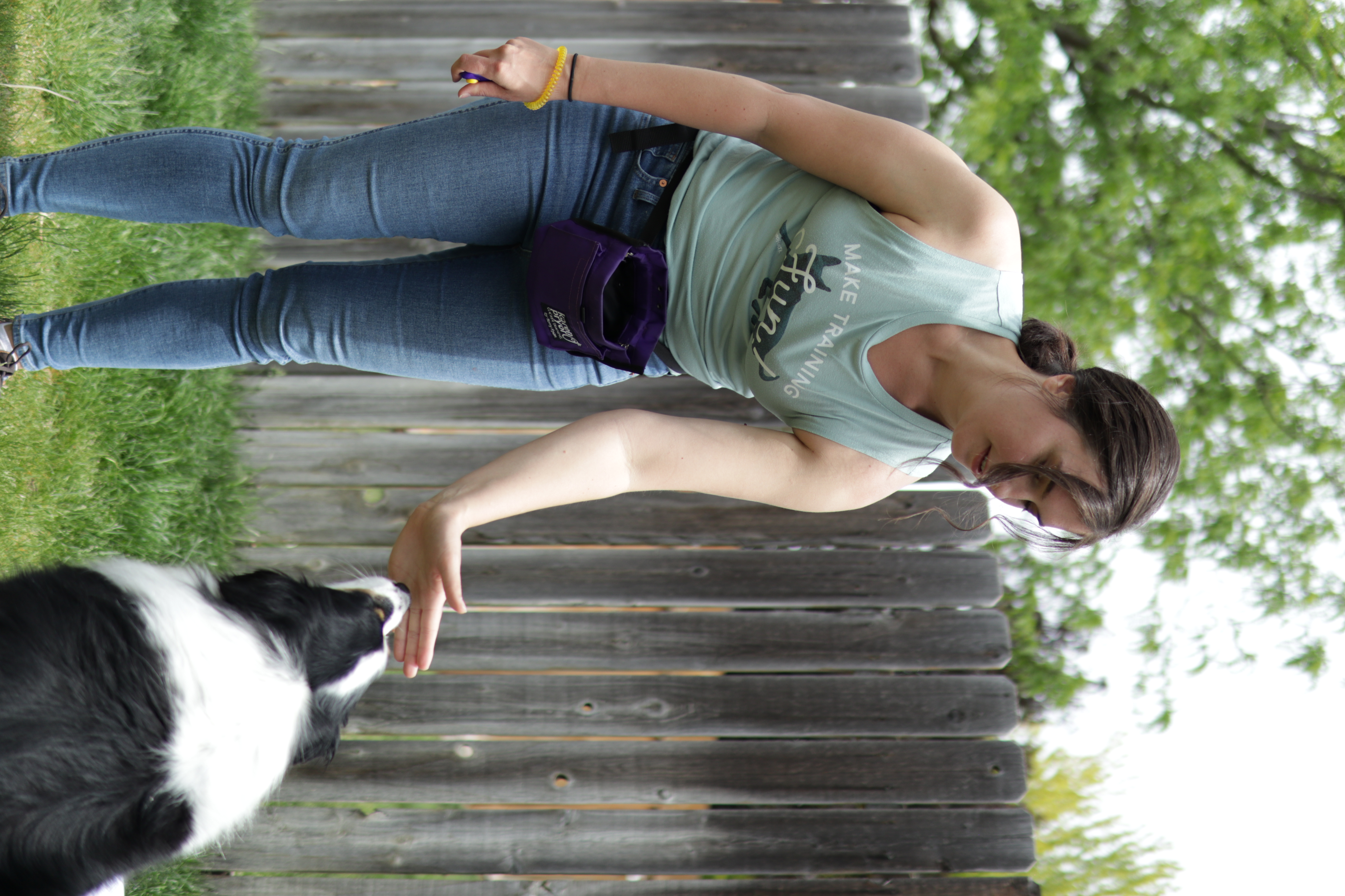 Australian Shepherd dog touches her nose to trainer's hand