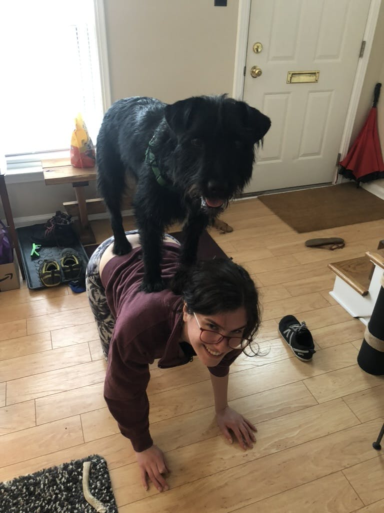 A black scruffy dog stands on a woman's back