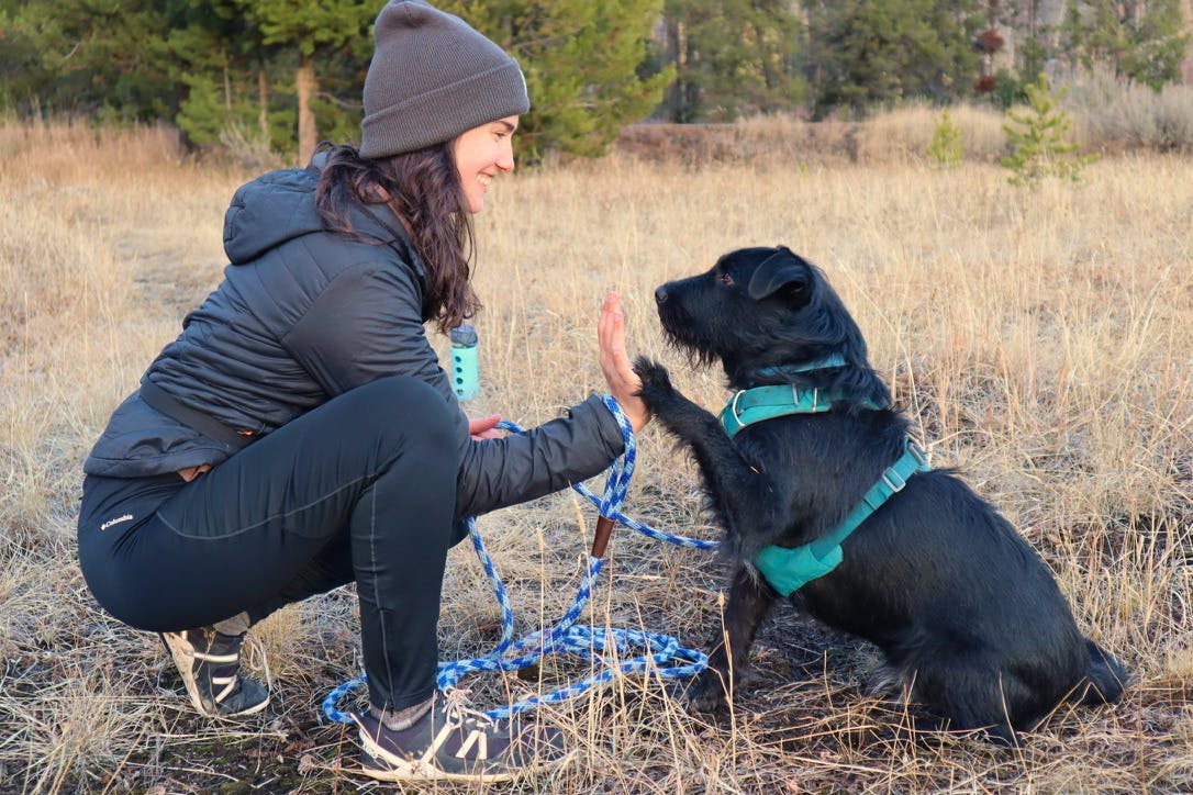 A woman gives a black dog a high-five outside