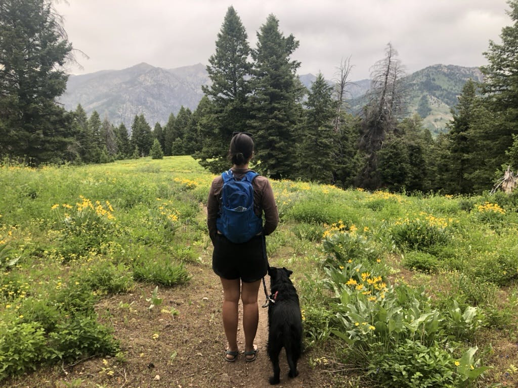 A woman hikes with her black dog at her side