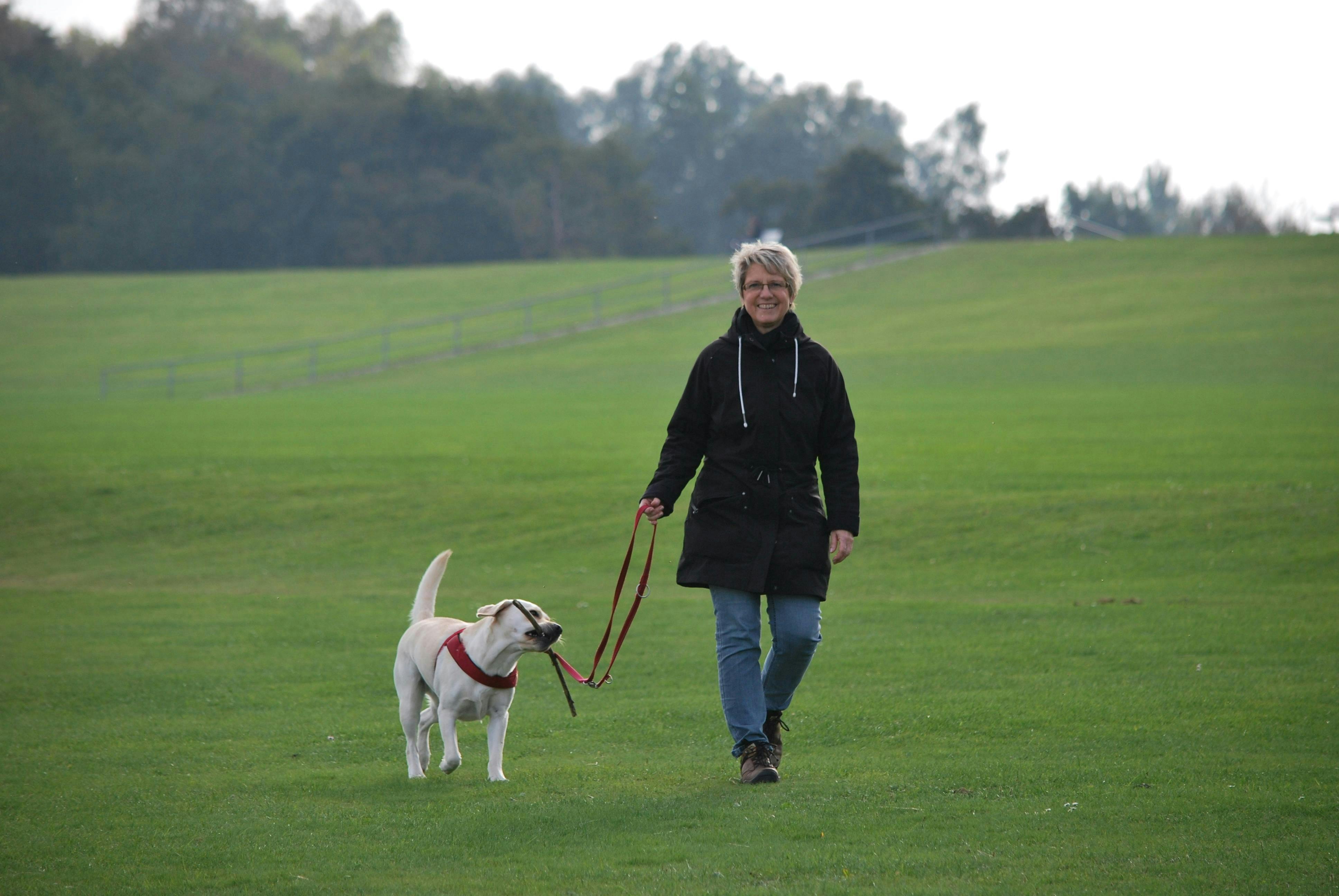 A woman walks with a white dog who has a stick in his mouth
