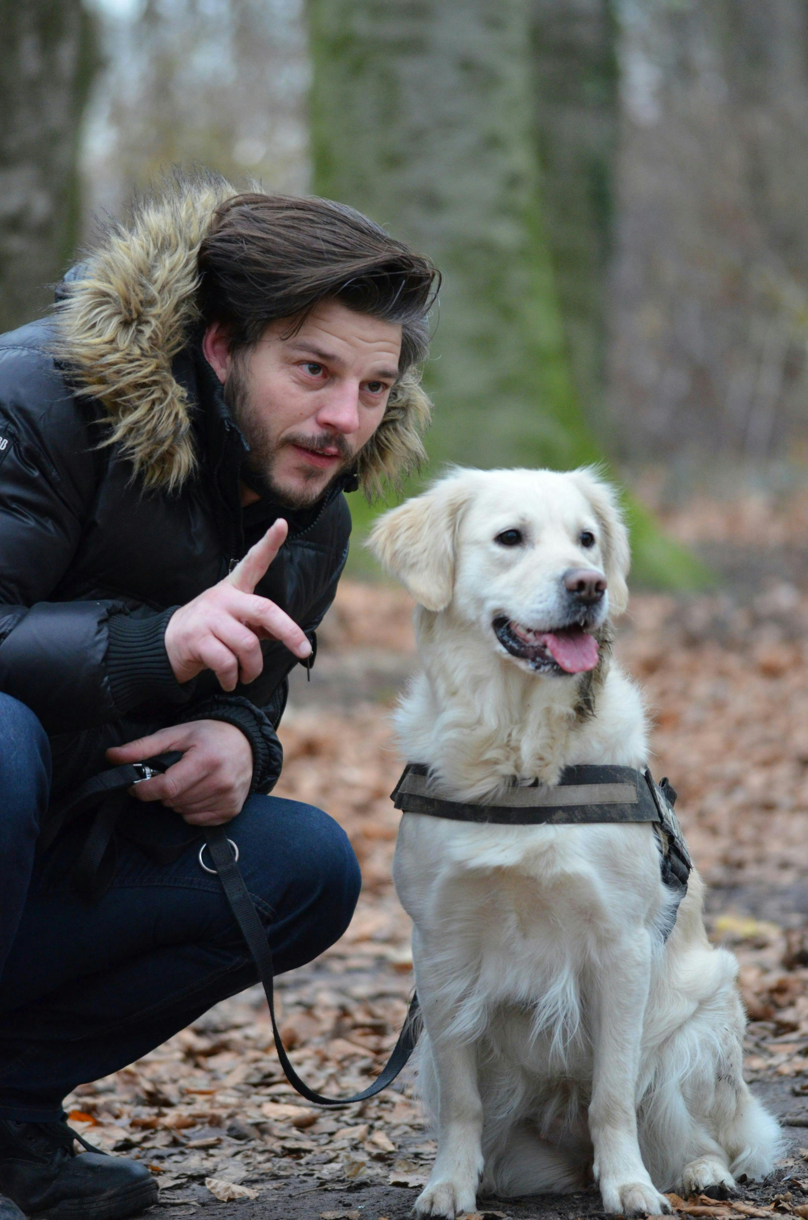 Man Trains a White Short Coat Dog in the forest