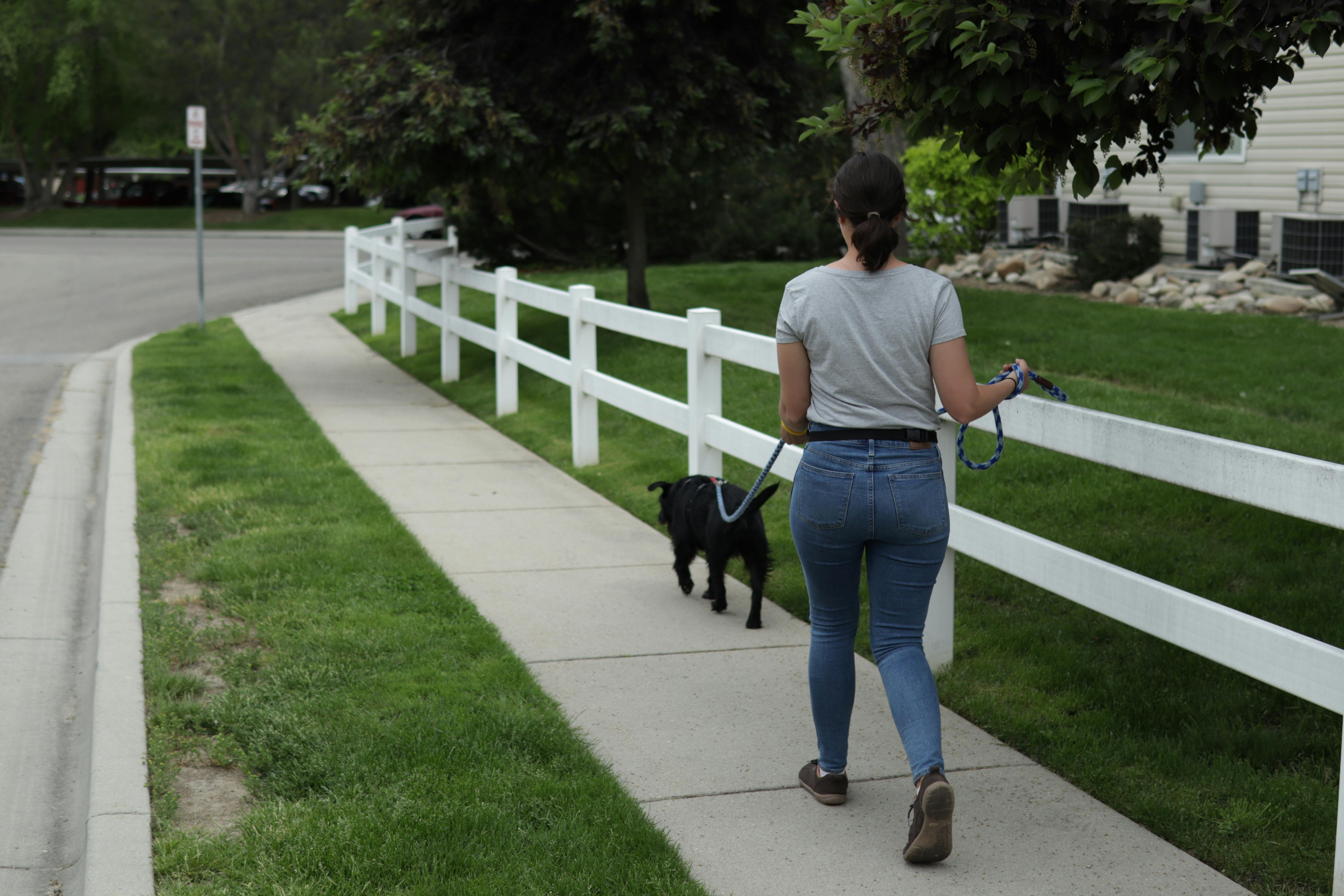 Woman walks a black dog on a long leash on a sidewalk