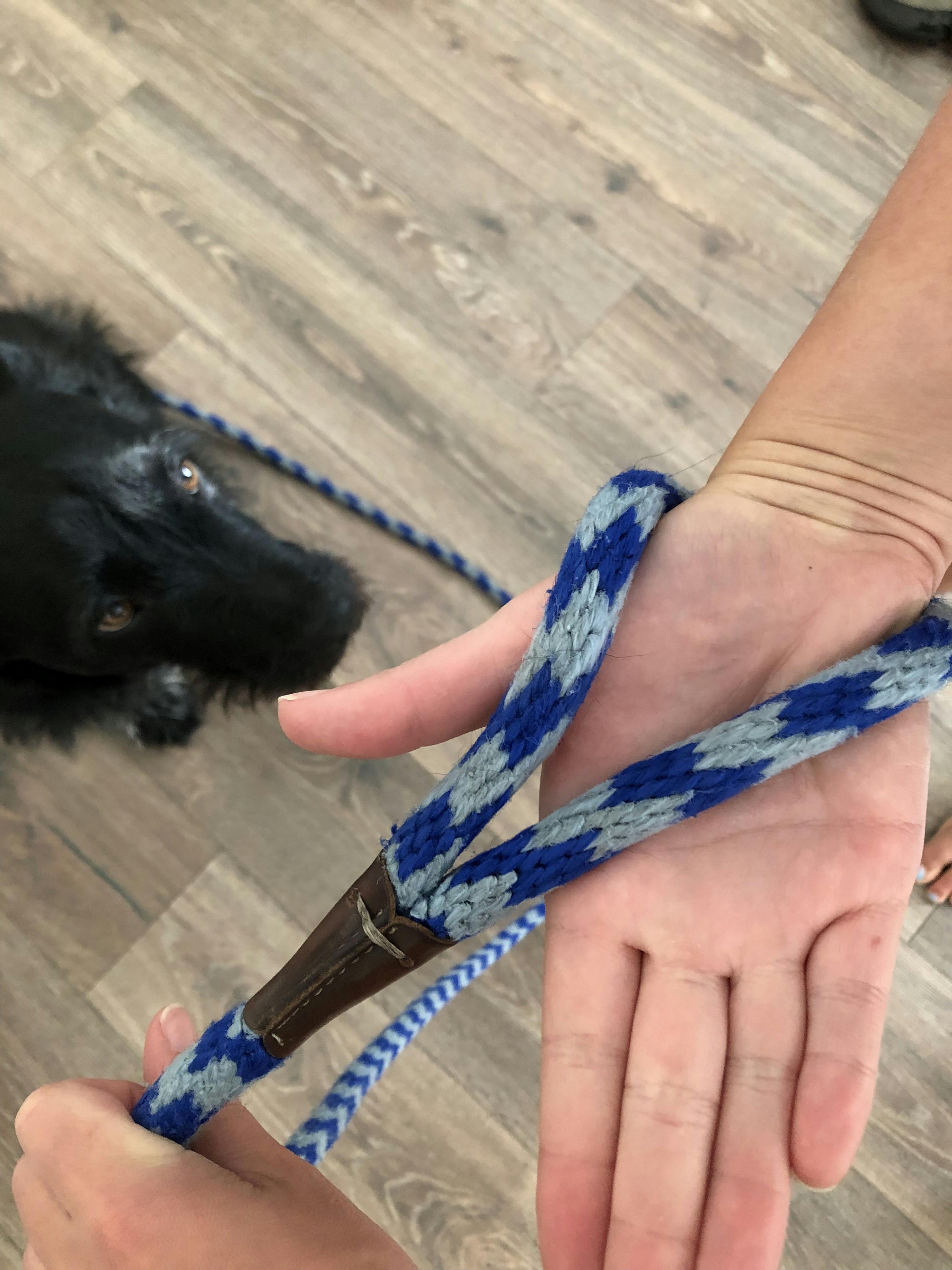 Showing how to hold the loop of a long leash between the thumb and forefinger