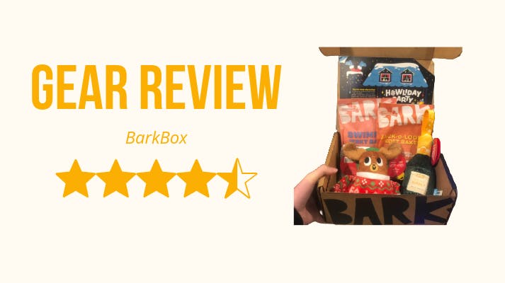 A picture of the toys and treats from a BarkBox