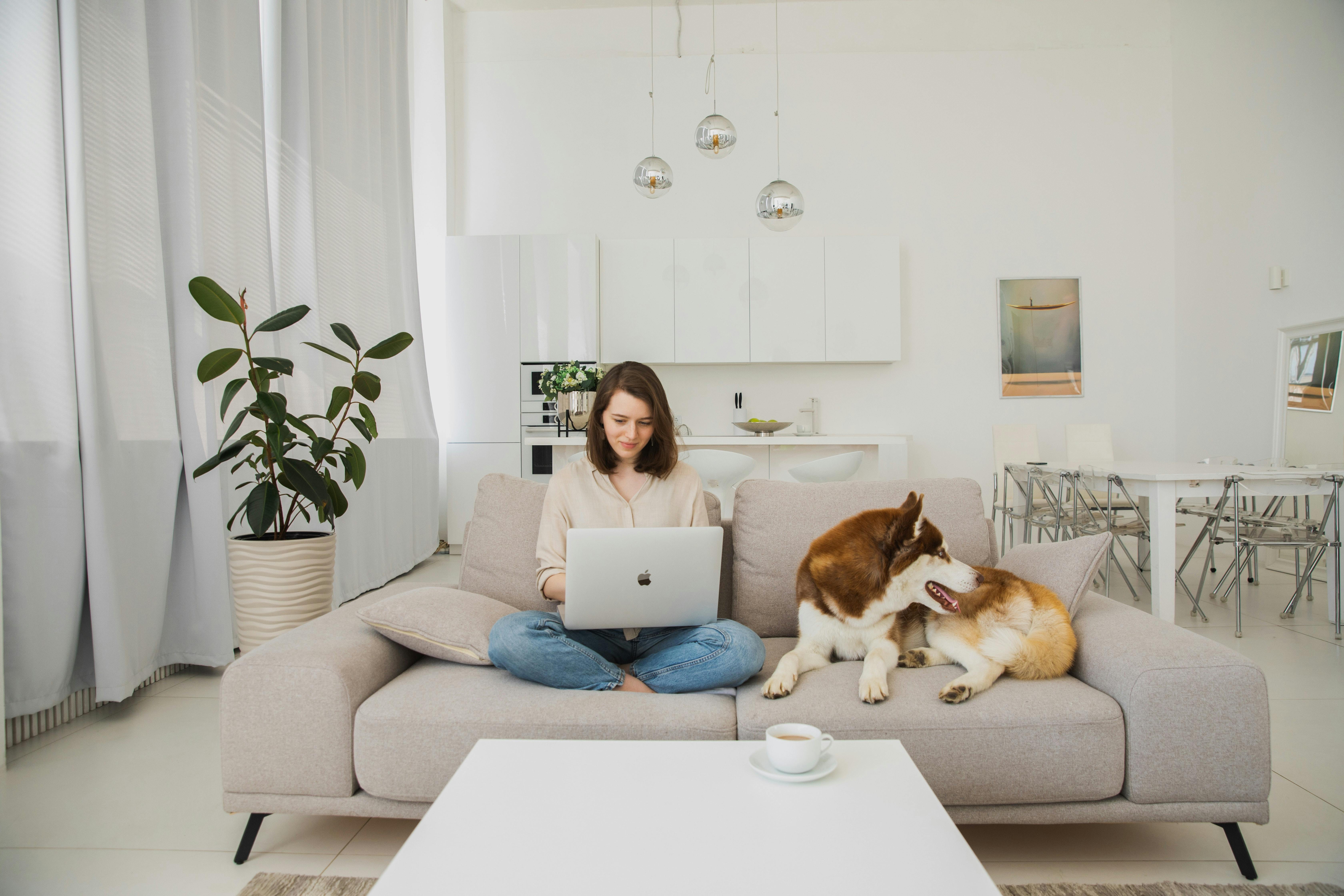 Woman sits on the couch on her computer while her dog lays beside her