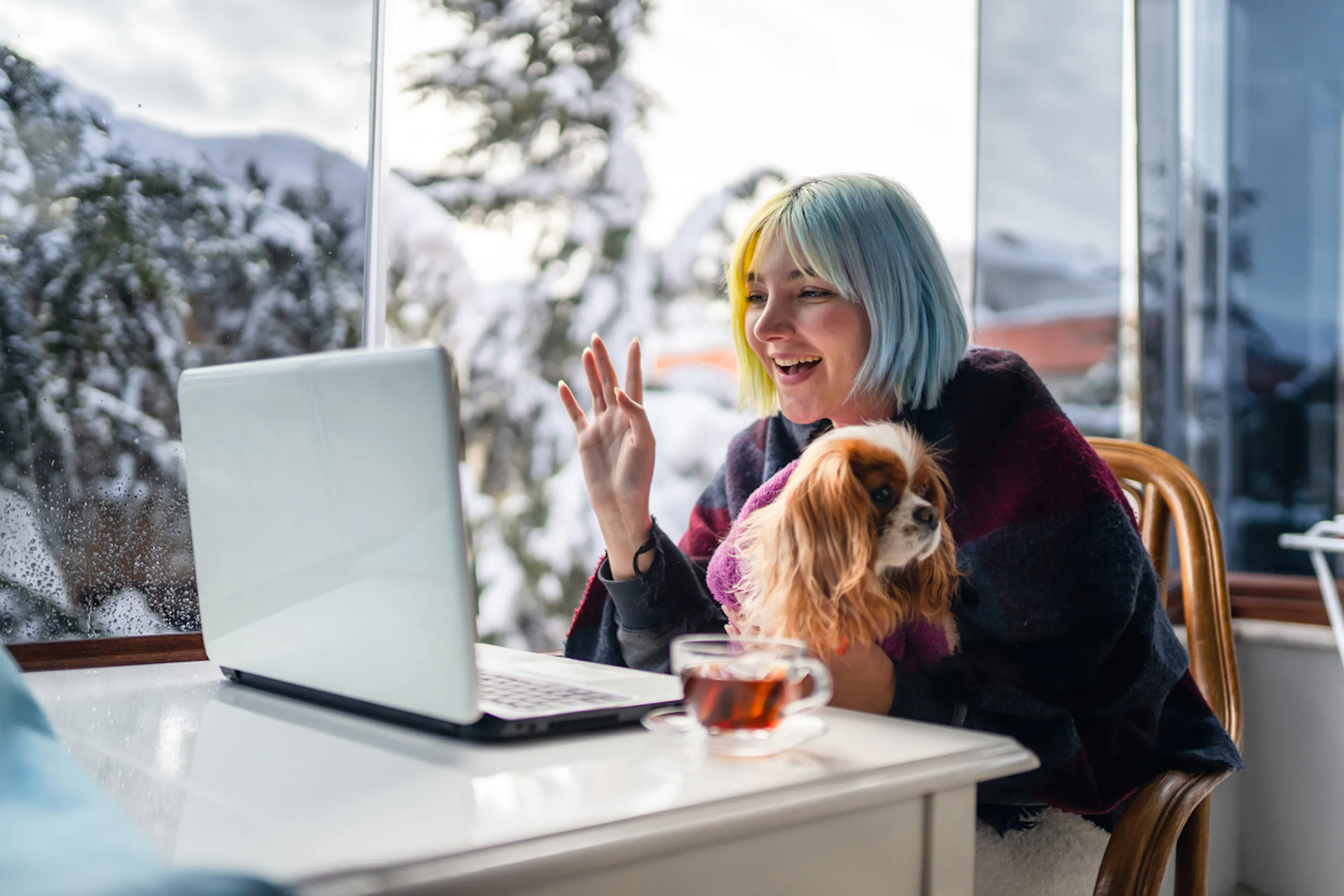 woman with dog in lap working on a computer