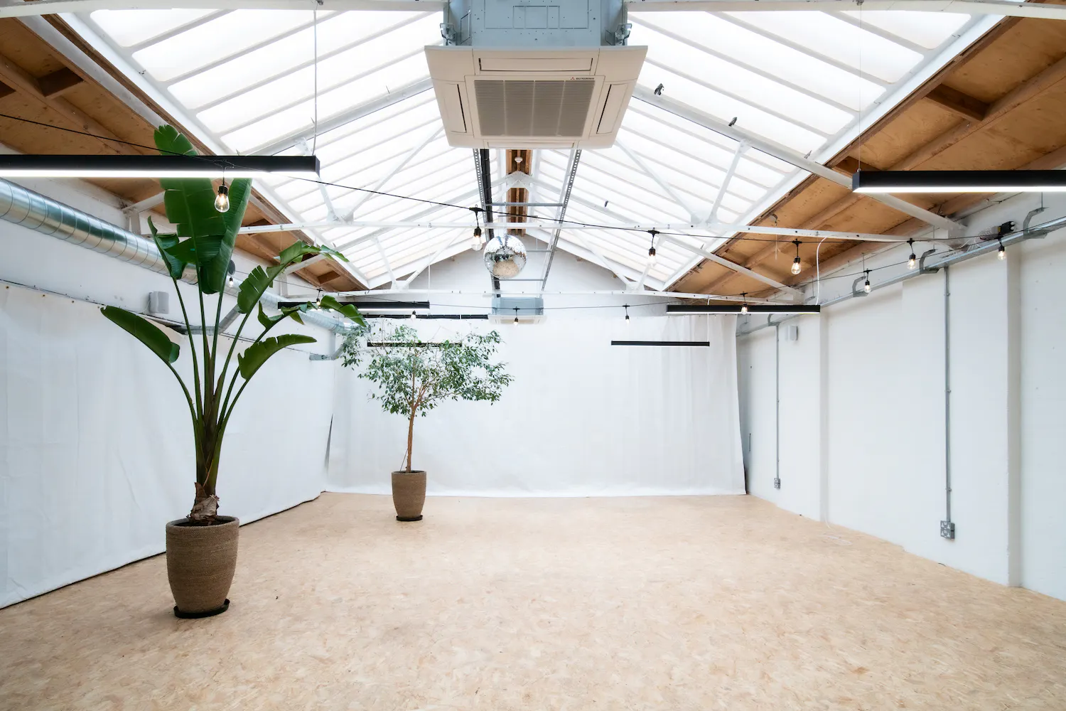 Daylight Studios