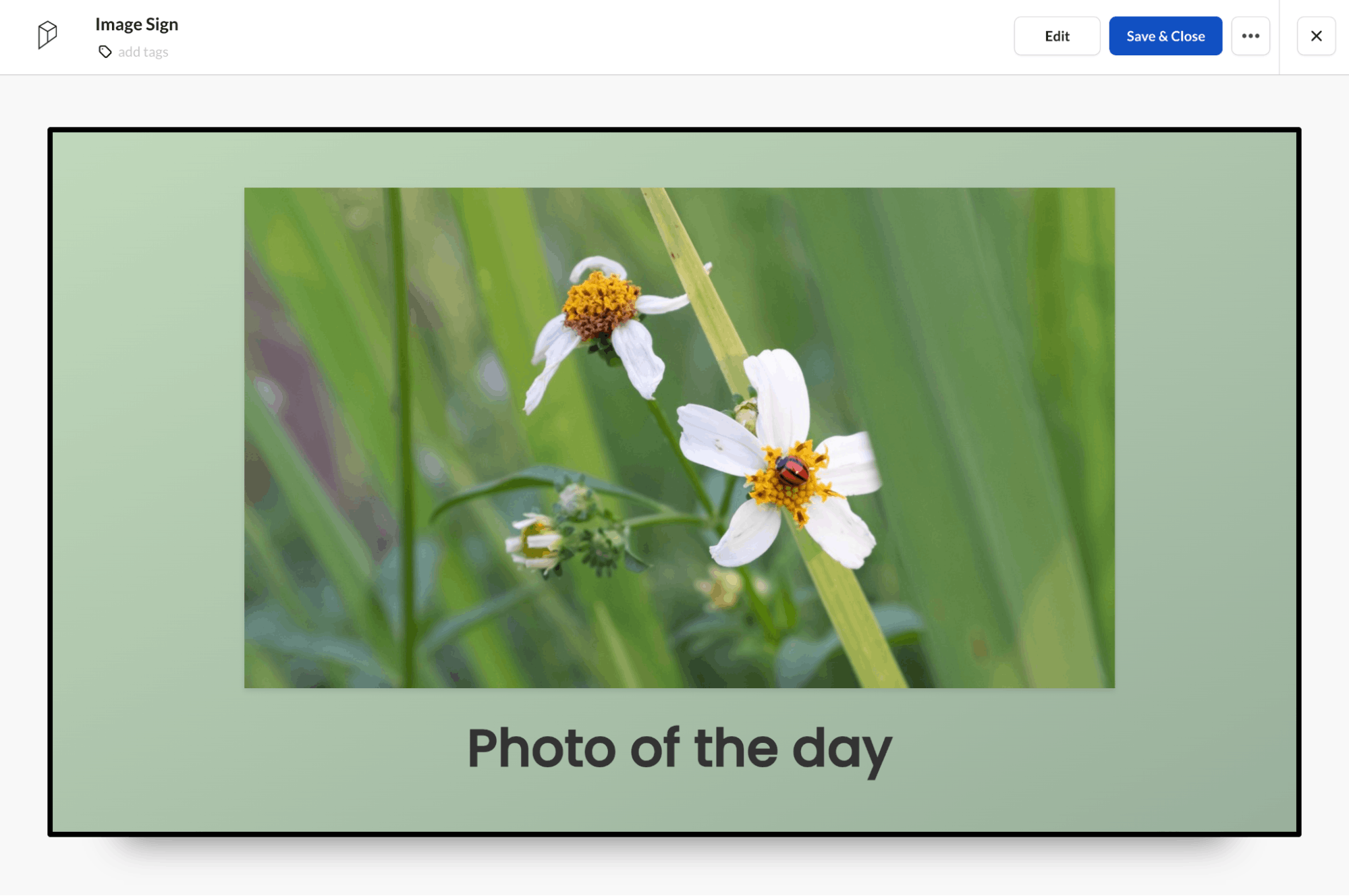 Photo in ScreenCloud digital signage