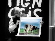 A man holds up a photo of a cow.