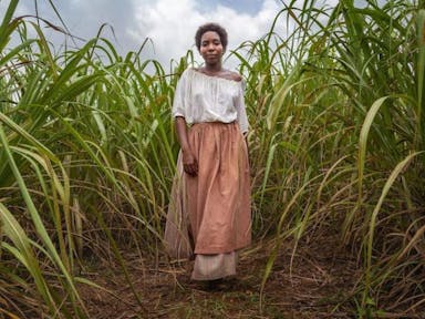 A Black woman with cropped hair, wearing a loose blouse and skirt and peach apron, walking through a plantation of tall crops looking determined