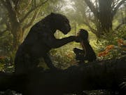 A panther sitting opposite a young brown boy in a jungle with a paw gently holding the boy's face