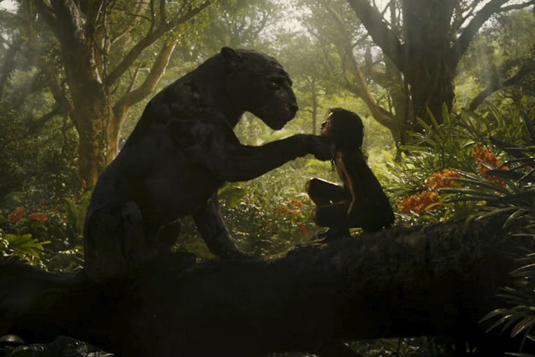 A panther sitting opposite a young brown boy in a jungle with a paw gently holding the boy's face