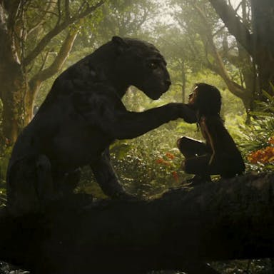 A panther sitting opposite a young brown boy in a jungle with a paw gently holding the boy's face