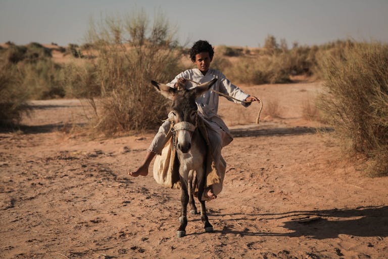 A young Arab boy with short curly hair riding a small donkey in a sandy landscape