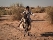 A young Arab boy with short curly hair riding a small donkey in a sandy landscape