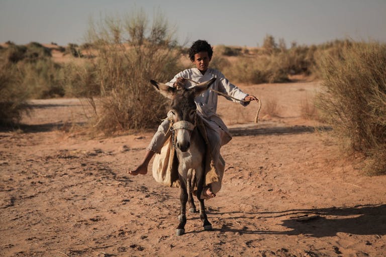A young Arab boy with short curly hair riding a small donkey in a sandy landscape 