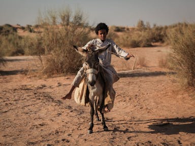 A young Arab boy with short curly hair riding a small donkey in a sandy landscape 