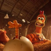 Stop motion animation of a male chicken and a female chicken looking surprised at a small chick's leg, kicking and breaking free of it's egg shell in the hen coop