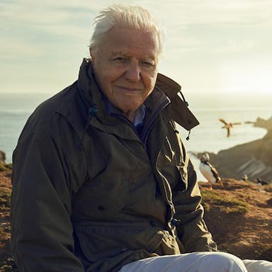 Older man with white hair smiles against a backdrop of mountains and the sea