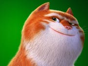 Animated ginger cat grins cheekily, against a green backdrop.