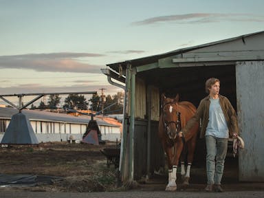 A young white boy leads a brown horse out of stable in soft twilight