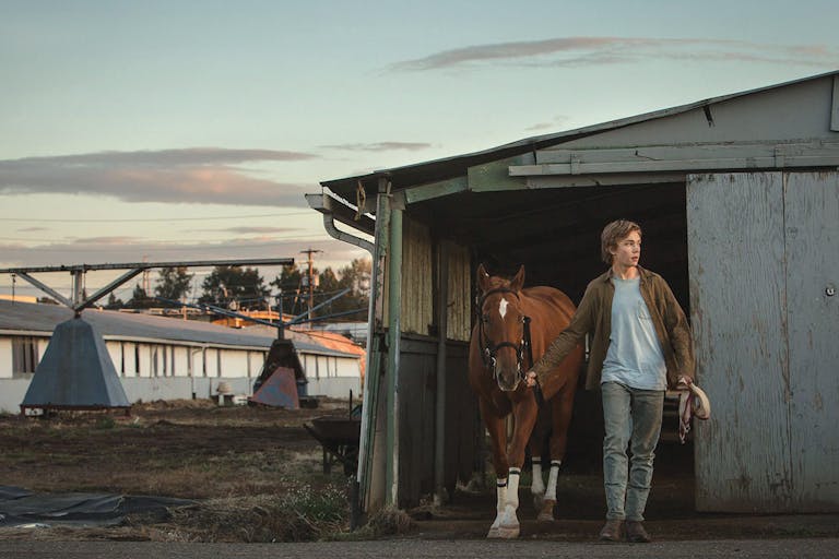 A young white boy leads a brown horse out of stable in soft twilight