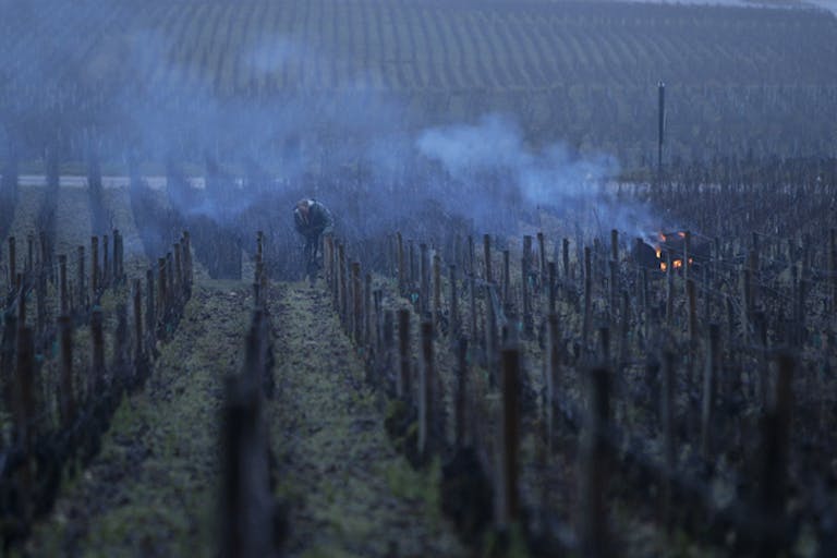 At dusk a man stands in a large plot of land (vineyard) with rows of fences for grapevines left barren with a small smoking fire in the distance